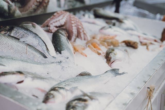 Fish
